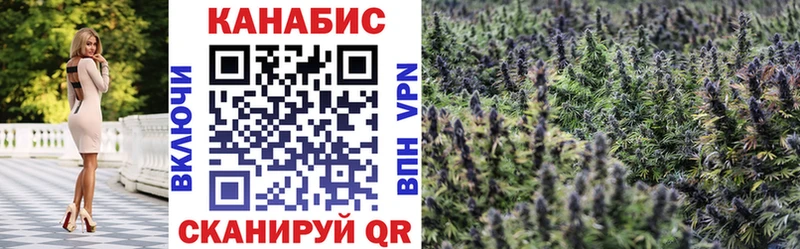 Канабис планчик  Купить где  Высоковск 